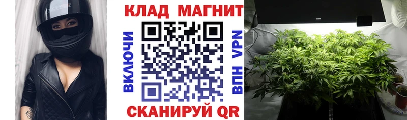 Где купить Вилючинск ГАШ АМФЕТАМИН Кокаин ОМГ ОМГ ссылки Марихуана СОЛЬ МЕФ