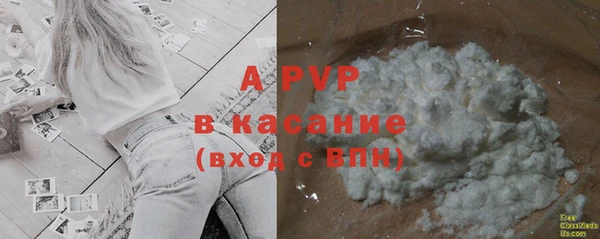 крисы Алзамай