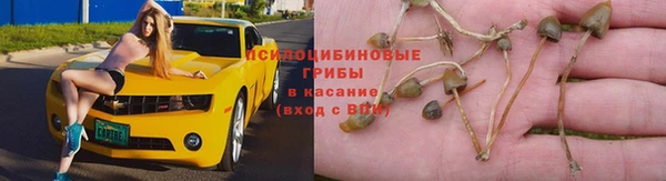 скорость Арсеньев